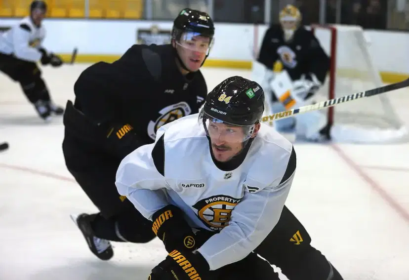 tanner jeannot boston bruins