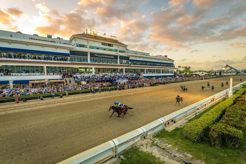 Gulfstream Park Picks Today: My Top Selection in Every Race for October 2, 2026