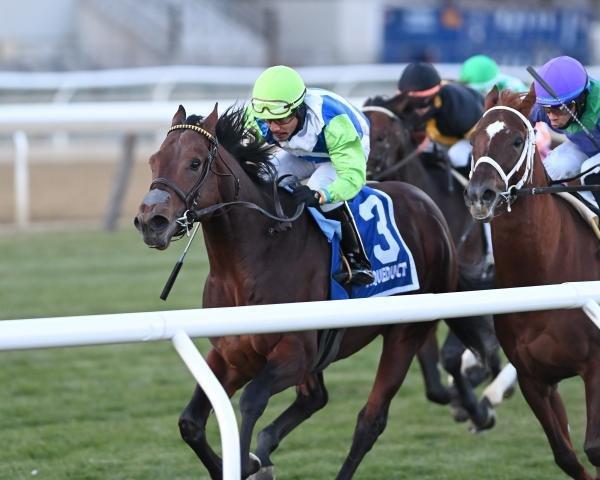 Arrest Me Red looks like a tough favorite in the 10th from Gulfstream Park