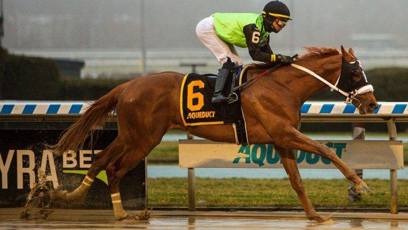 Courvoisier will be the likely favorite in the final stakes from Parx on Tuesday.