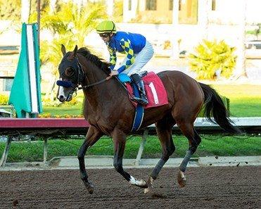 Doppelganger ships in to Oaklawn Park on Saturday