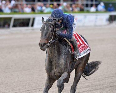Kathleen O. is currently the top point getter for the Kentucky Oaks