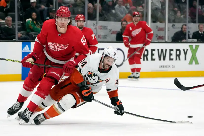 NHL: Detroit Red Wings vs Anaheim Ducks Prediction, Odds and Best Bets