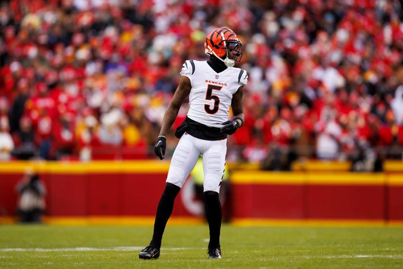 Tee Higgins of the Cincinnati Bengals is a great fantasy value pick