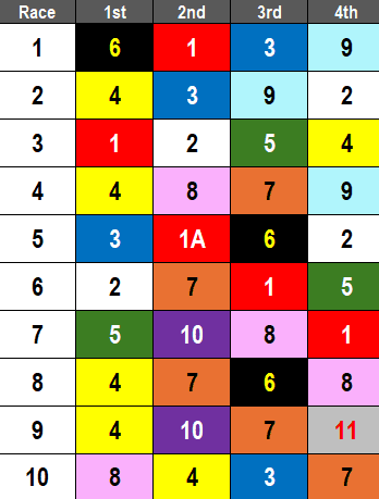 Saratoga Picks- 2024 Curlin Stakes