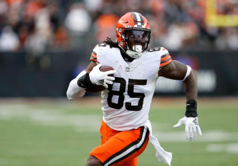David Njoku brokeout near the end of the season last year, making him a value pick in NFL fantasy this year