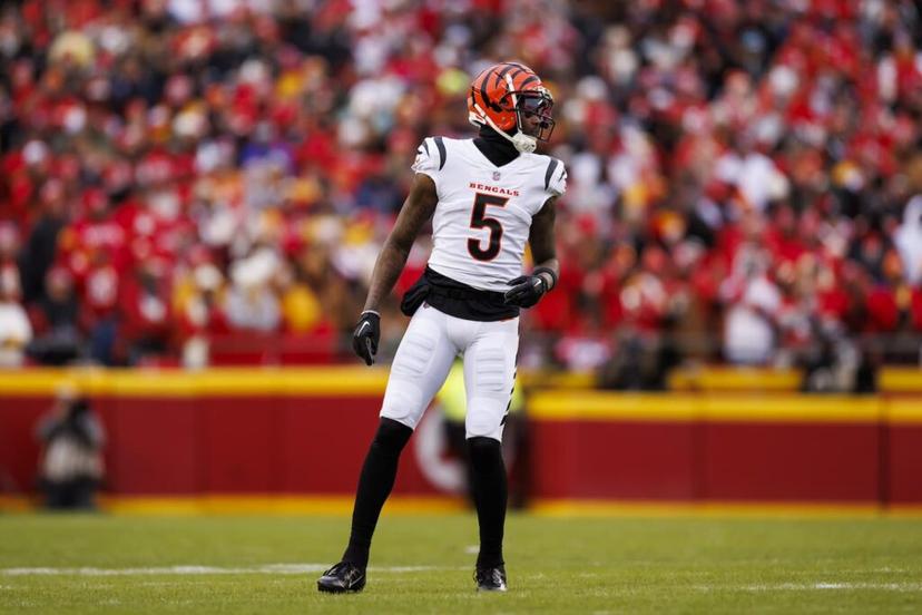 Bengals @ Panthers | Week 4 Predictions & Best Bets