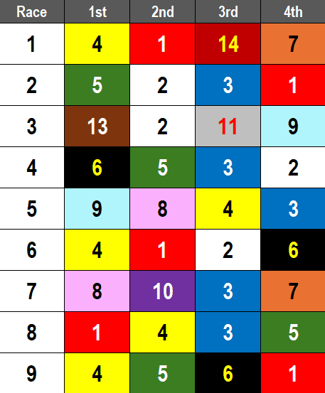 Del Mar Picks- 2024 Hollywood Derby Analysis