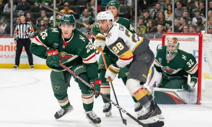 Minnesota Wild defense