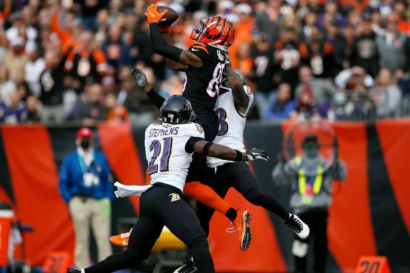 Browns vs. Bengals | Week 16: Predictions, Odds & Best Bets