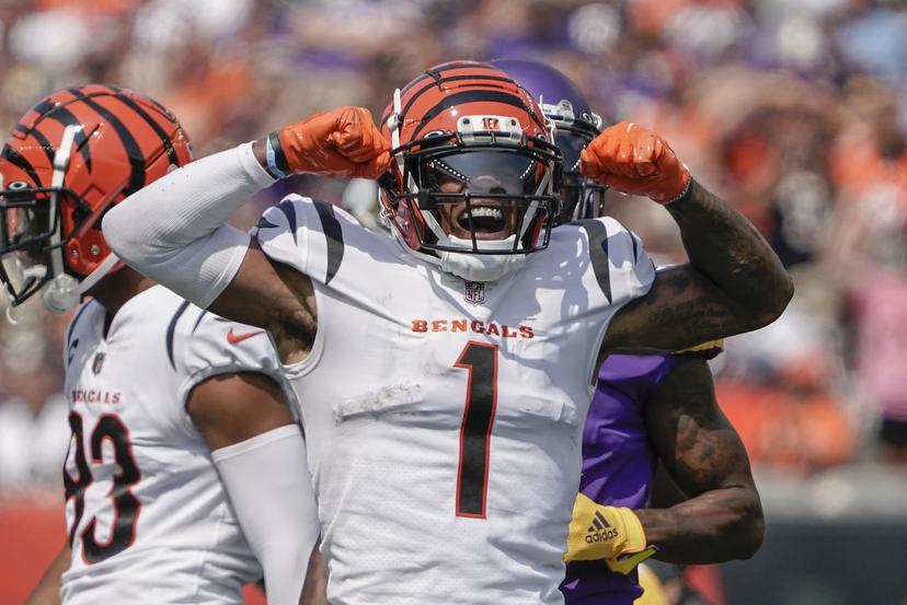 Browns vs. Bengals | Week 16: Predictions, Odds & Best Bets