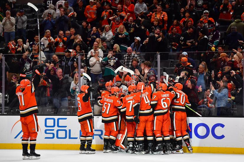 Anaheim Ducks team
