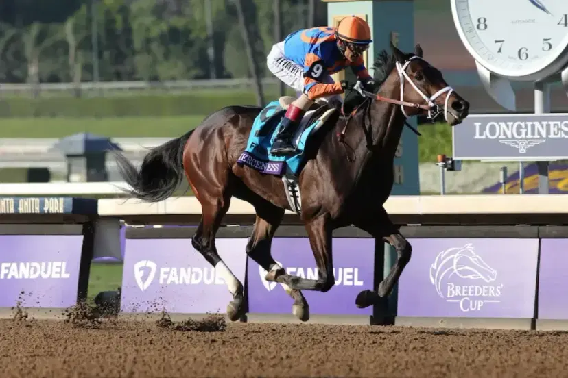 Fierceness - Kentucky Derby Favorite