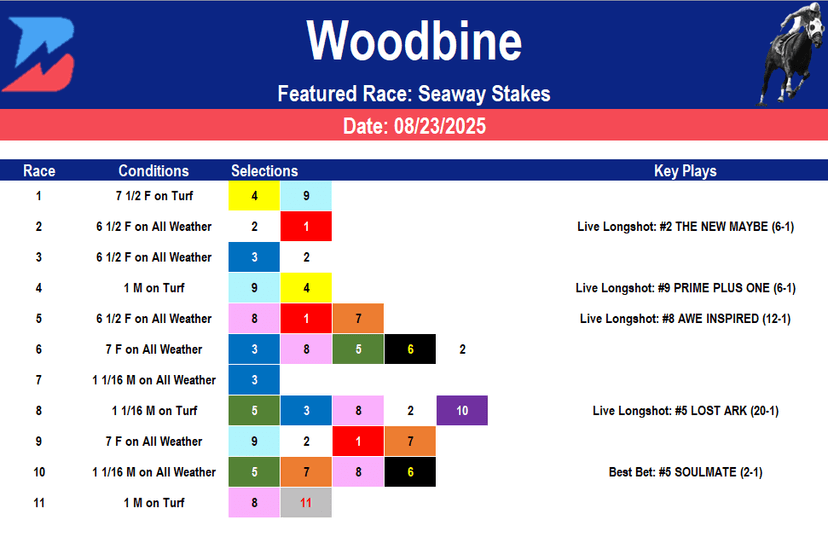 Woodbine Picks: Seaway Stakes (08/23/2025)
