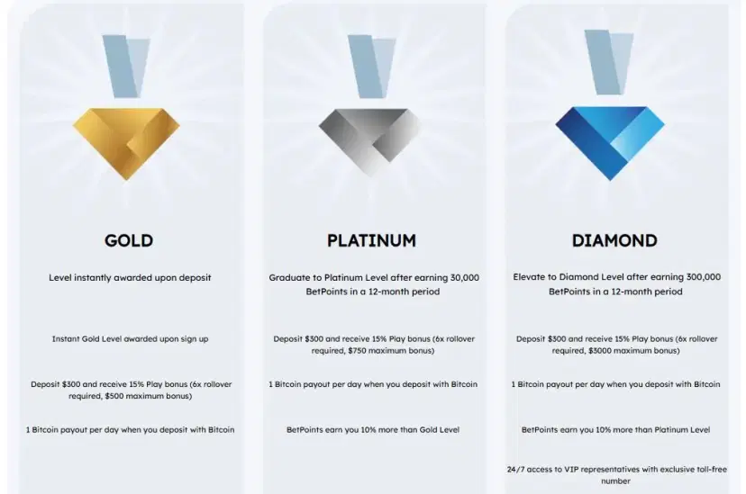 BetDSI Casino Loyalty Program