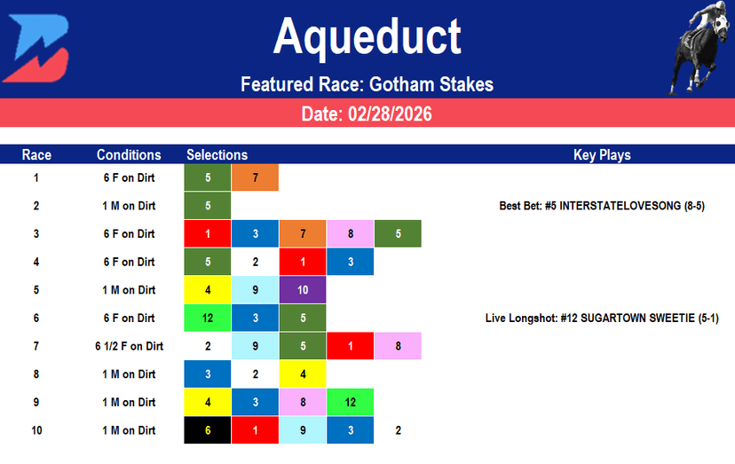 Aqueduct Picks: Gotham Stakes Kentucky Derby Prep (02/28/2026)