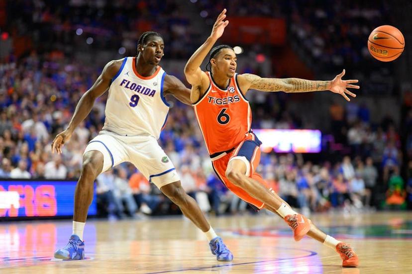 Rueben Chinyelu averages a double double for the Gators this season - Florida Arkansas Picks