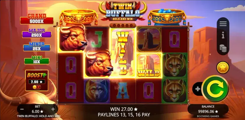 Twin Buffalo: Hold and Win main features