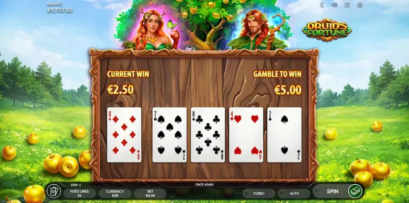 druid's fortune risk game