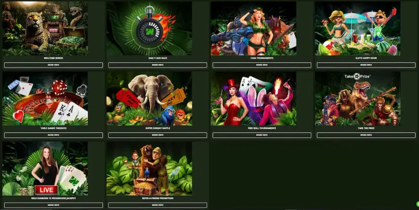 wild casino other bonuses and promos aug 2026