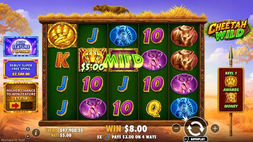 cheetah wild main features