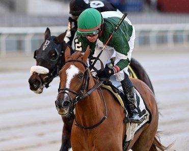 Saratoga Friday: Handicap Stakes Trio Featured in New York cover