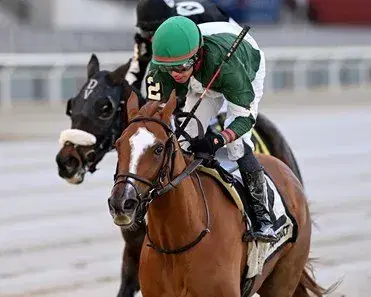 Saratoga Friday: Handicap Stakes Trio Featured in New York cover