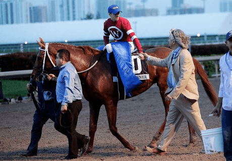Zia Park Draw Big Names Tuesday: Stakes Analysis, Selections cover
