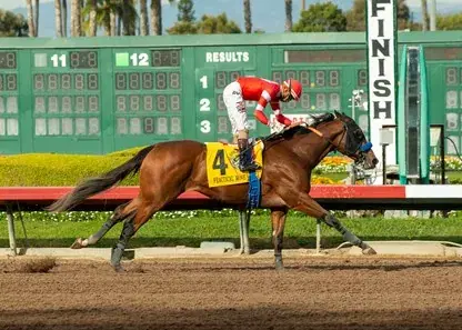 Santa Anita Park: Big Cap, Kentucky Derby Prep Featured Saturday cover