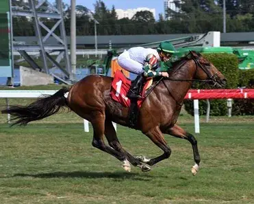 Gulfstream Park Saturday: Sprint Stakes Duo Analysis cover