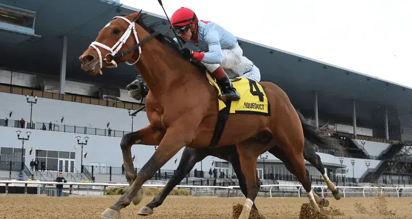 Aqueduct Saturday: Kentucky Derby Prep, Gotham Analysis cover
