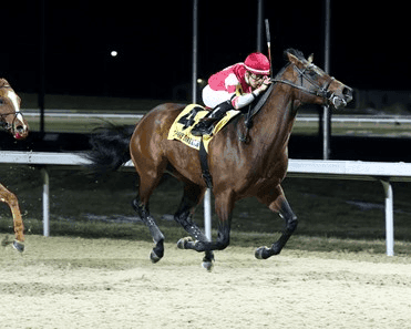 Turfway Park Forgotten Kentucky Derby Prep: Battaglia Analysis cover