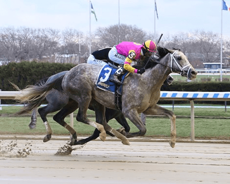 Tampa Bay Downs: Tampa Bay Derby Latest Kentucky Derby Prep cover