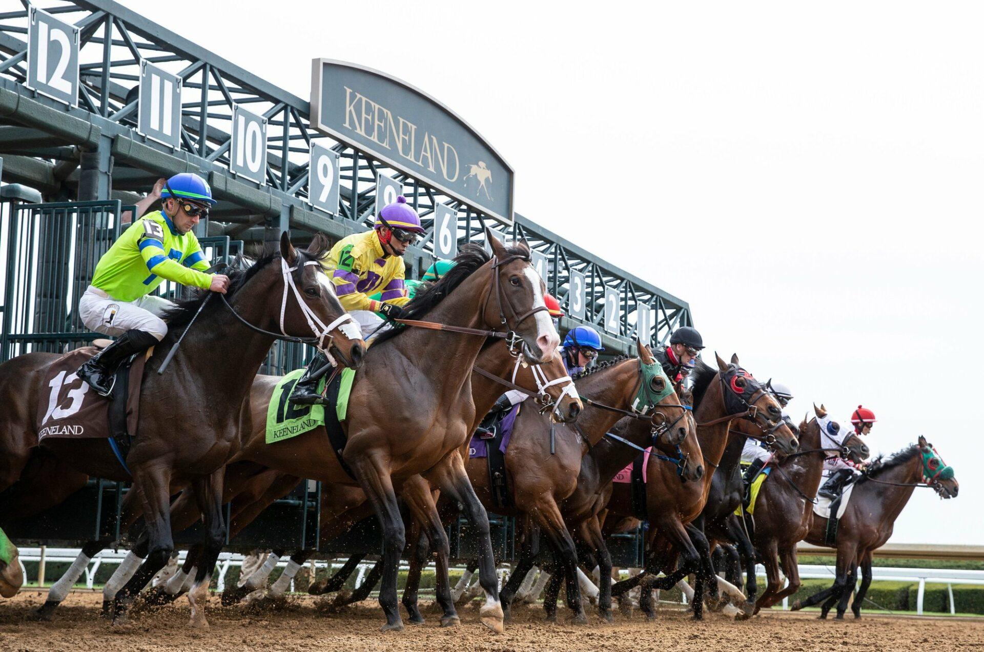 Keeneland Offers Three Breeders’ Cup Bids Saturday, October 7 cover