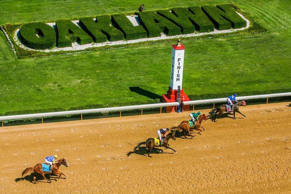 Oaklawn Park Picks 3/29: Temperence Hill Stakes