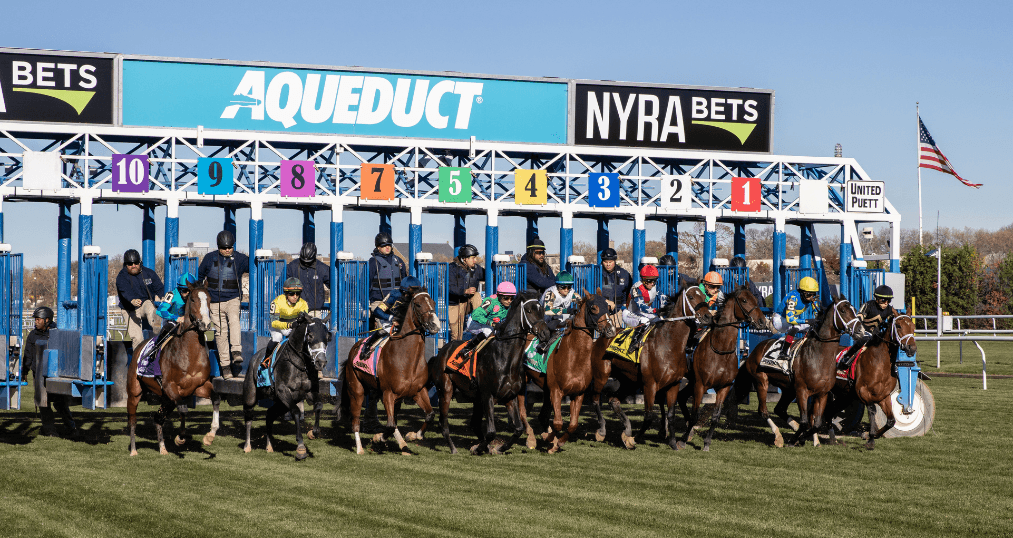 Aqueduct Turf